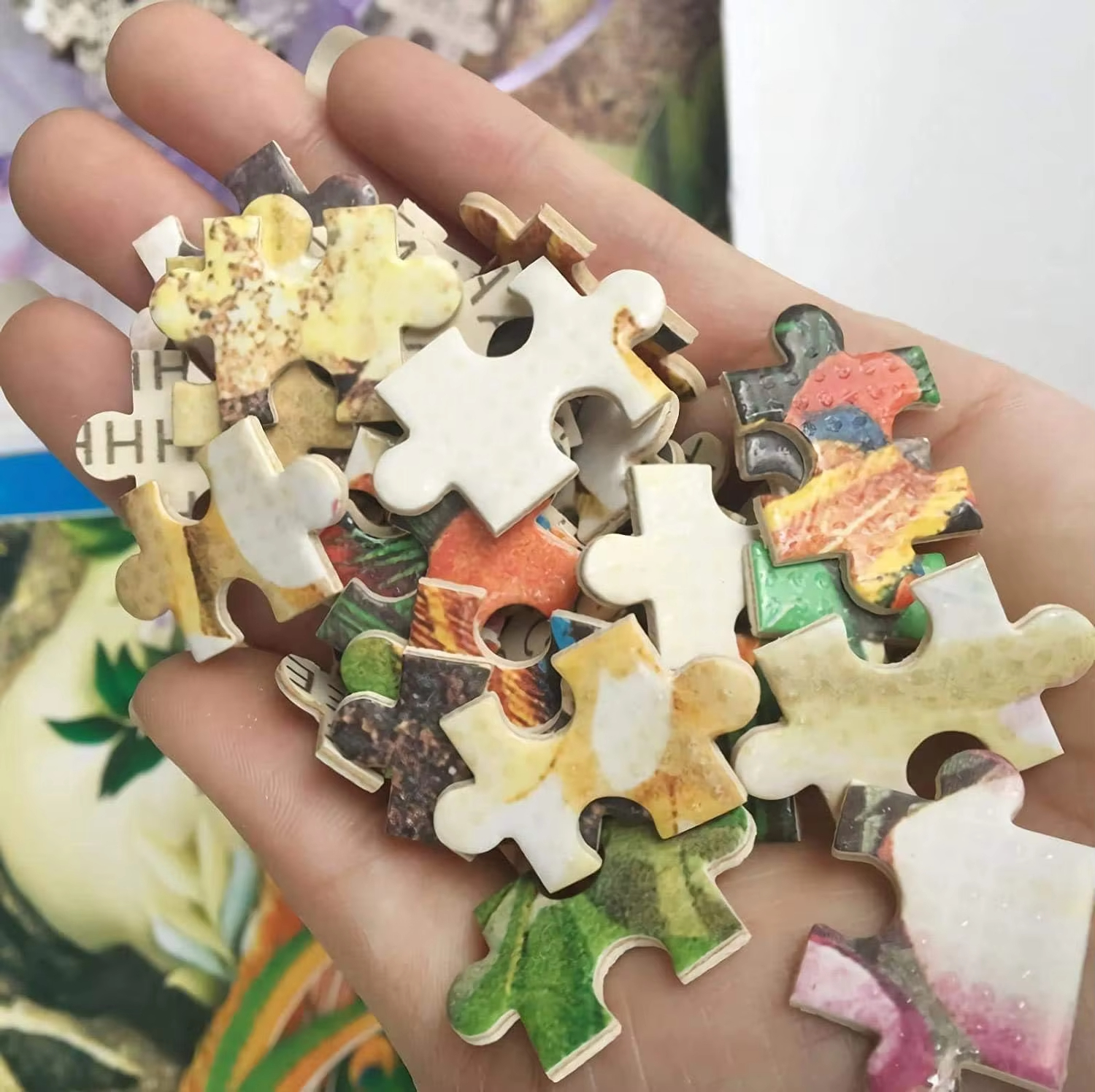 Great Cook Portrait 500/1000/1 - Home Cooking Game recensione e prezzo